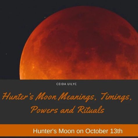 Hunter’s Moon Meanings, Timings, Powers and Rituals Hunters Moon Ritual, Feng Shui Directions, Hunters Moon, Moon Today, Moon Deck, Oracle Card Spreads, Moon Meaning, Moon Magick, Time Of The Month