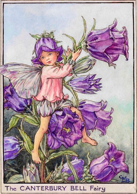 Canterbury Bells, Fairy Folk, Bell Art, Fairy Drawings, Purple Hat, Fairy Images, Fairy Pictures, Fairy Artwork, Cicely Mary Barker