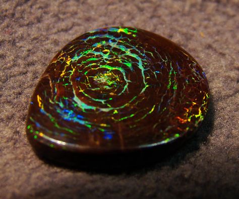 Pretty Rocks, Mineral Stone, Minerals And Gemstones, Rocks And Gems, Precious Gems, Gems And Minerals, Boulder Opal, Stone Rocks, Crystal Gems