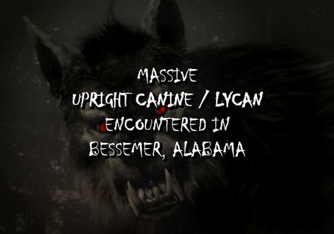 Dogman Encounters, Bessemer Alabama, Underworld Movies, Bigfoot Sightings, Canine Tooth, Scary Stuff, Werewolf Art, Paranormal Investigation, Urban Legends