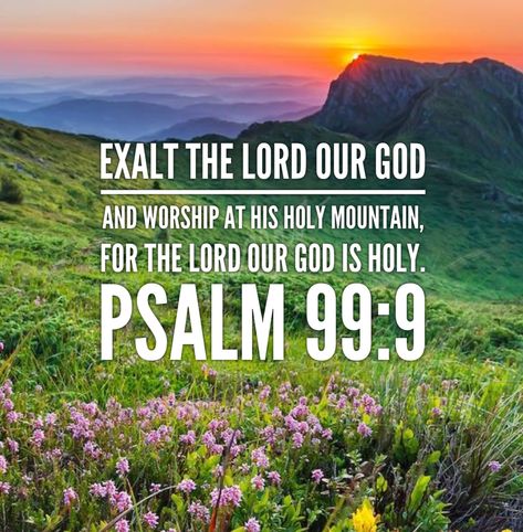 “Exalt the Lord our God and worship at His holy mountain, for the Lord our God is holy.”-Psalm‬ ‭99:9‬ ‭#godisgood #dailybread #servehimwholeheartedly #psalm99v9 #worship #exalthim Psalm 99, Scripture Posters, Bible Psalms, Shabbat Shalom, Inspirational Bible Verses, Scripture Verses, God Is Good, Awe Inspiring, God Is