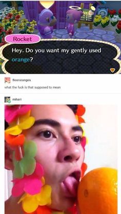 Ac New Leaf, Animal Crossing Funny, Animal Crossing Memes, Zelda Botw, Funny Tumblr Posts, Gaming Memes, Oui Oui, What’s Going On, New Leaf