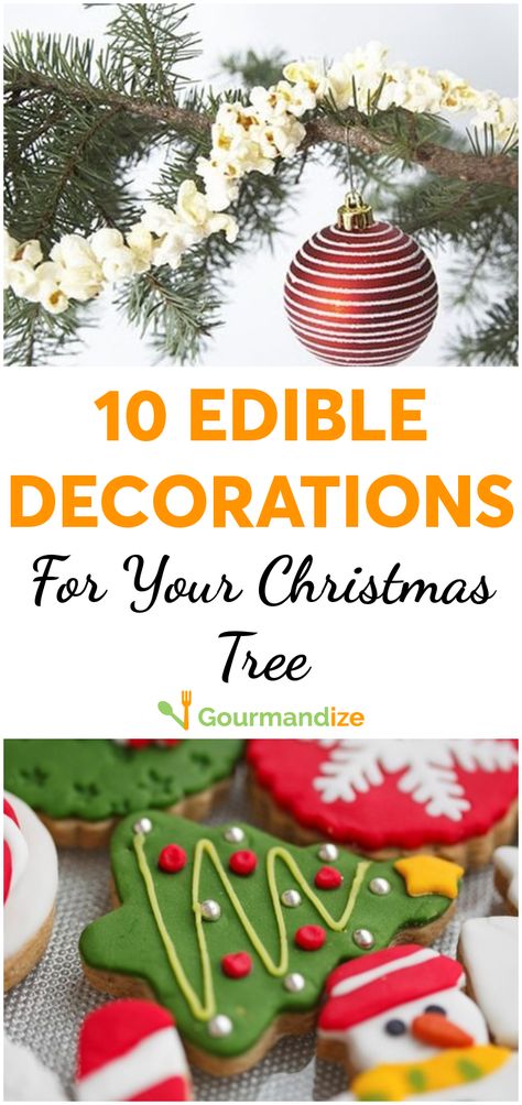 We've decided to try edible decorations this year! Not only are they fun to make, but throughout the holiday season, we can enjoy eating them too!   #holidays #christmas #decorations #edibledecorations #fundecorations #holidaydecorations Edible Tree Decorations, Edible Ornaments, Edible Decorations, Sparkling Lights, Holidays Christmas, Fun Decor, Christmas Is, The Holiday, Holiday Season