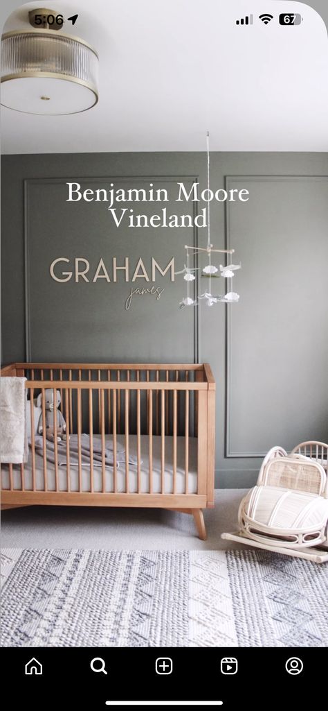 Boys Room Paint Colors, Boy Room Paint, Dream Basement, Paint Color Inspiration, Toddler Boys Room, Room Paint Colors, Bedroom Paint Colors, Toy Rooms, Popular Color