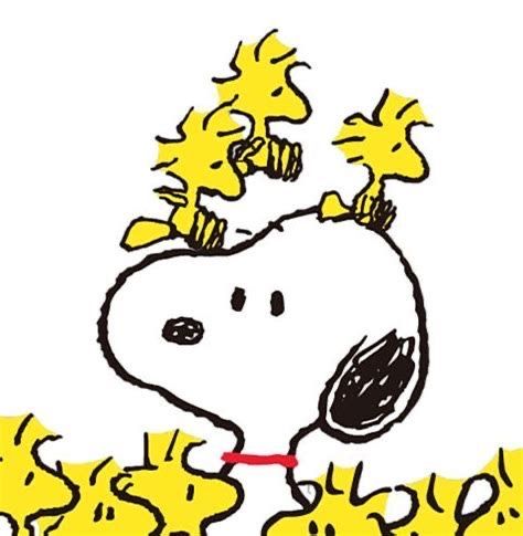 Peanuts Party, Woodstock Snoopy, Woodstock Peanuts, Snoopy Comics, Snoopy Cartoon, Peanuts Comic Strip, Cute Winnie The Pooh, Snoopy Images, Snoopy Wallpaper