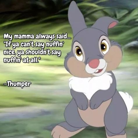 Burned Quotes, Bambi And Thumper, Bambi Disney, Say Nothing, Say Something Nice, Disney Movie Quotes, Something Nice, Disney Animals, Nothing At All