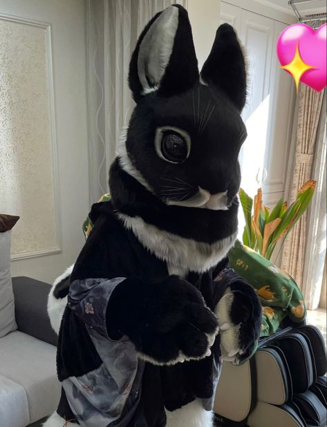 realistic bunny fursuit kemono fursuit cute rabbit Bunny Fursuit, Fox Fursuit, Teen Costumes, Cat Fursuit, Kemono Fursuit, Fursuit Head, Cosplay Diy, Cute Rabbit, Kawaii Cat