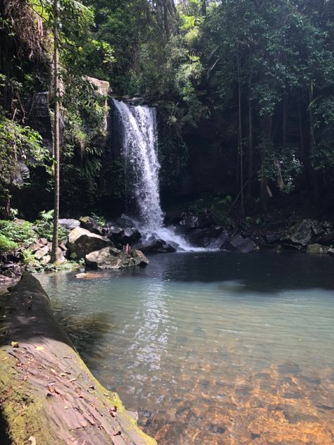 Tamborine Mountain Australia, Mt Tamborine Australia, Mt Tamborine, Tamborine Mountain, Hiking Photos, 2025 Vision, Mood Board, Beautiful Places, Hiking