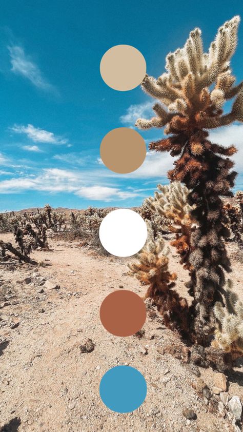 Color Palette of earth tones inspired by the desert Desert Mood Board Color Palettes, Earth Tones With A Pop Of Color, Earth Tones With Blue, Bright Earth Tones, Desert Color Scheme, Earth Tones Palette, Desert Color Palette, Earth Colour Palette, Scheme Design