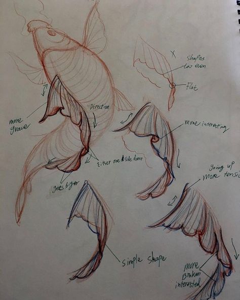 523 Me gusta, 3 comentarios - InkWorkshops® (@inkworkshops) en Instagram: "Here's one of the reference sheets from chapter 1 of the koi tutorial covering the fin! Part 2 is…" Koi Tutorial, Sketch Fish, Chinese Tattoo Designs, Photos Of Fish, Koi Fish Drawing, Zoo Ideas, Koi Art, Chinese Tattoo, Japanese Drawings