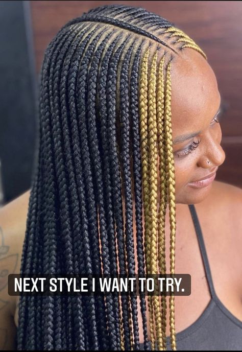 Fulani Braids Middle Part, Braids Middle Part, Summer Cornrows, Braided Designs, Micro Braids Styles, Middle Part Bob, Color Braids, Bday Hair, New Braided Hairstyles