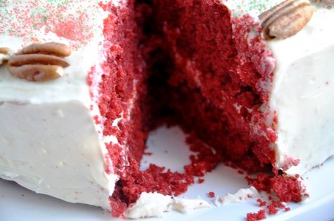 Southern Red Velvet Cake Southern Red Velvet Cake, Christmas Party Foods, Velvet Desserts, Brownie Fudge, Velvet Recipes, Red Velvet Cakes, Mint Desserts, Red Velvet Desserts, Velvet Cakes