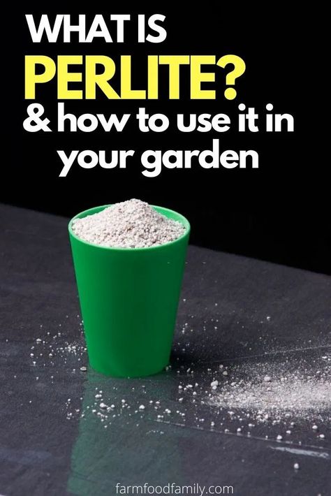 So let us start with the basic question, what is perlite? When you buy a commercial potting soil, perlite is the white styro looking, rocky particle used and recommended in many horticultural endeavors. Hydroponic Solution, Garden Landscaping Diy, Garden Boxes Diy, Shade Garden Plants, Diy Plastic Bottle, Front Garden Design, Seed Starter, Bottle Garden, Growing Succulents