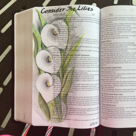 Consider the lilies. Bible Journal Matthew, Consider The Lilies, Matthew Bible, Creative Bible, Lilies Of The Field, Bible Drawing, Bible Journaling Ideas Drawings, Bible Doodling, Bible Journal Notes