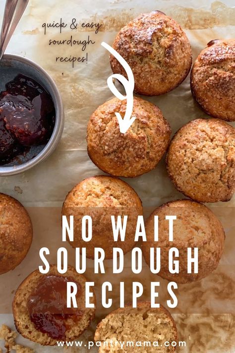 Quick Rise Sourdough Bread, No Wait Sourdough Biscuits, No Wait Sourdough Bread, Recipes That Use A Lot Of Sourdough Starter, Quick Recipes With Sourdough Starter, No Wait Discard Recipes, Sourdough Discard No Wait Recipes, Sourdough Discard From Fridge Recipes, No Wait Sourdough Muffins