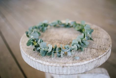 DIY Fresh Eucalyptus Flour Crown - Diy Flower Crown Headband, Eucalyptus Flower Crown, Eucalyptus Crown, Diy Eucalyptus, Crown Tutorial, Bohemian Headpiece, Ideas For Flowers, Eucalyptus Flower, Crown Diy