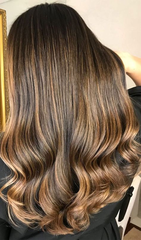 Honey Gold Highlights On Dark Hair, Hazelnut Hair Color, Hazelnut Hair, Honey Highlights, Brown Hair Looks, Brown Hair Inspo, Brunette Hair With Highlights, Brunette Balayage, Hair Brunette