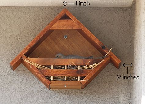 Nesting Boxes Diy, Dove Nest, Dove House, Bird House Feeder, Bird House Plans, Bird House Kits, Dove Bird, Nesting Box, Bird Houses Diy