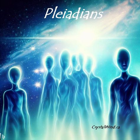 Pleiadian Art, Pleiadians Aliens, Extraterrestrial Beings, Galactic Federation, Alien Artwork, Artwork Wallpaper, Channeled Message, Alien Races, Psychic Mediums