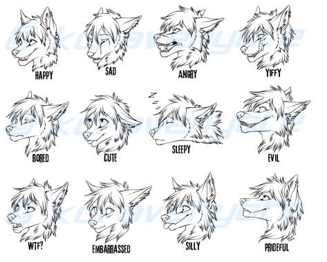 Wolf Expressions, Expressions Anime, Wolf Face Drawing, Paw Drawing, Facial Expressions Drawing, Expression Sheet, Wolf Sketch, Dog Expressions, Wolf Ears