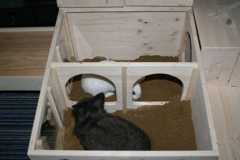 Rabbit digging box available for purchase from www.plueschnasen.de Homemade Rabbit Toys, Pet Bunny Rabbits, Bunny Treats, Black Bunny, Rabbit Hutches, Pet Bunny, Rabbit Toys, Pet Rabbit, Box Ideas