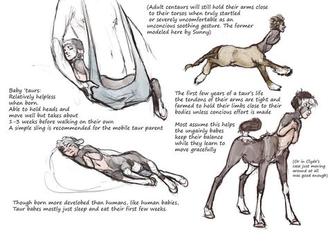 Throwing my theories onto the fire asto the science of mythical horse-butted babies. nO THIS WAS NOT an excuse to draw tiny chubbly-wubblum baby Clyde and lanky knobbly foal legs. NEVER. FOR SCIENCE!... Creature Drawings, Fantasy Creatures Art, Mythical Creatures Art, Wow Art, Mythological Creatures, Creature Concept Art, Mystical Creatures, Creature Concept, Magical Creatures