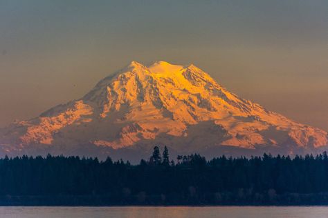 Sunset on Mt. Rainier - Olympia, WA Mt Rainer, Washington Mountains, Monte Fuji, Top Of A Mountain, Landscapes Paintings, Sunrise Art, Best Words, Mount Rainier National Park, Mt Rainier