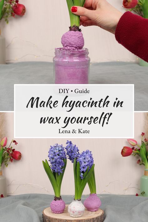 🌸Today I will show you how to make waxed hyacinth bulbs yourself! The heralds of spring in a wax coat are beautiful and also easy to care for. Because of the wax cover, they don’ need to be watered. I tried out two little helpers to color the wax: a wax crayon and a chalk pencil. With the following step-by-step instructions you can easily make the hyacinths in wax yourself! #hyacinth decoration, hyacinths in wax decoration, crafting hyacinths, coloring wax, spring decoration Pinboard Diy, Hyacinth Bulbs, Hyacinth Flower, Chalk Pencil, Diy Wax, Upcycling Projects, Tulip Bulbs, Wax Crayons, Spring Decoration