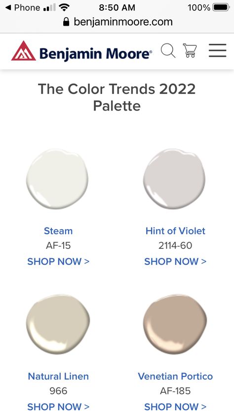 Venetian Portico Benjamin Moore, Venetian Portico, Room Paint Colors, Room Paint, Benjamin Moore, Master Bath, Natural Linen, Color Trends, Paint Colors