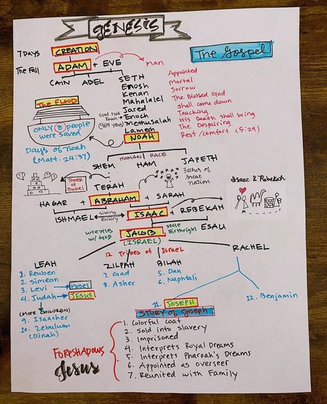 Book Of Genesis Overview, Adam And Eve Notes, Book Of Genesis Bible Journaling, Genesis Study Notes, Genesis Bible Journaling Notes Chapter 1, Genesis Overview, Book Of Genesis Bible Study, Genesis Summary, Genesis Bible Study Notes