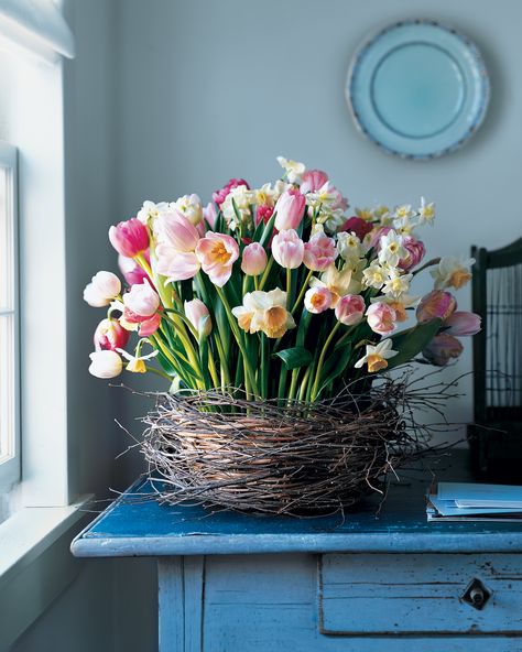 22 Beautiful Easter and Spring Centerpieces | This nest cradles an exuberant mix of blooms from spring-flowering bulbs—the botanical counterpart to newly hatched birds. Birch branches circle an ordinary wooden basket, giving the nest its ethereal, light-as-a-cloud appearance.  #flowers #floralcenterpieces #centerpieces #springtablescapes #marthastewart Easter Centrepiece, Tulpen Arrangements, Spring Flower Arrangements Centerpieces, Diy – Velikonoce, Centrepiece Ideas, Easter Flower Arrangements, Tulips Arrangement, Spring Flower Arrangements, Spring Centerpiece