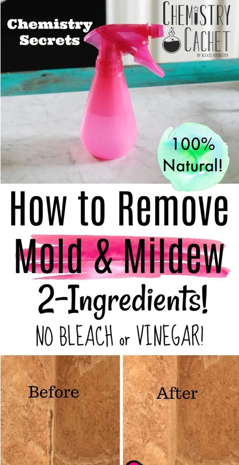 The Best Way to Remove and Clean Mold & Mildew with 2 Ingredients. NO bleach or vinegar! Completely natural and very effective for all parts of your home! This homemade cleaning spray will disinfect the area naturally while killing mold or mildew in your bathroom. How To Remove Mold, Remove Mold, Homemade Toilet Cleaner, Mildew Remover, Mold In Bathroom, Cleaning Painted Walls, Glass Cooktop, Deep Cleaning Tips, Mold Remover