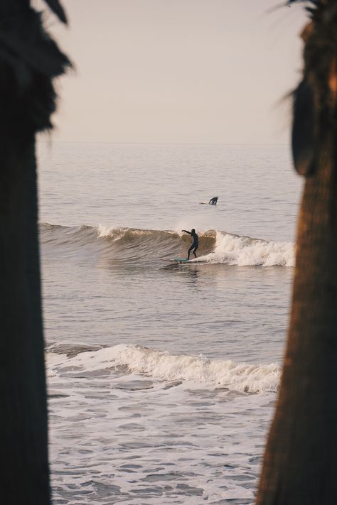 This is our Complete Guide to Surfing Santa Barbara in California. Read for everything you need to know about this charming college town, from the best surf spots to the most surf-friendly hotels.  #santabarbara #surfing #surfingcalifornia California Photo Ideas, Travel Aesthetic Passport, California Bachelorette Party, Aesthetic Passport, California Bachelorette, California Attractions, Best Surfing Spots, Surfing Santa, California Beaches