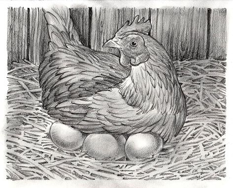 Chicken Sketch, Turkey Drawing, Chicken Illustration, Farm Projects, Pencil Shading, Metal Etching, Hens And Chicks, Printable Crafts, Bird Drawings