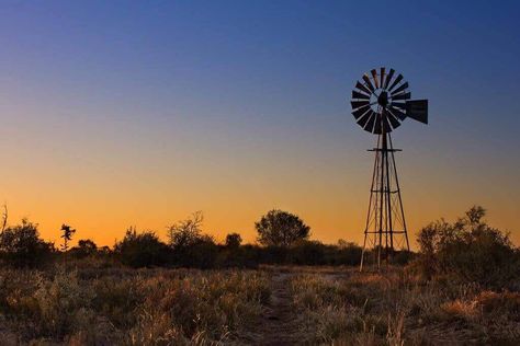 Qualifying for a Texas Wildlife Exemption - Wildlife Property Tax Exemption Land Property, Texas Land, Rural Land, Stall Shower, Ranches For Sale, Stall Shower Curtain, Texas Ranch, Dripping Springs, Land Use