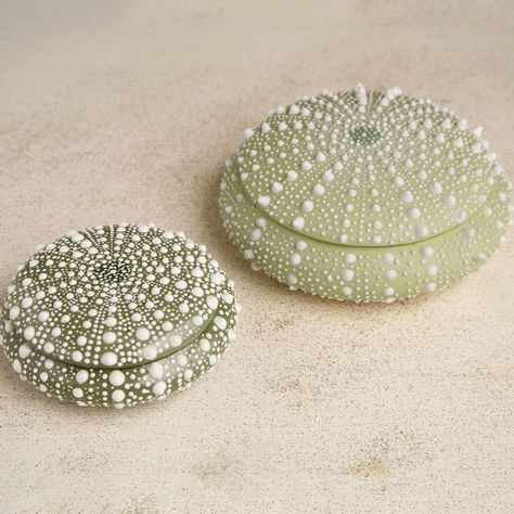 Sea Love Porcelain Container Deco Marine, Ceramic Boxes, Beach House Interior, China Painting, Sea Urchin, Beach Houses, Ocean Inspiration, Beach Cottages, Coastal Homes