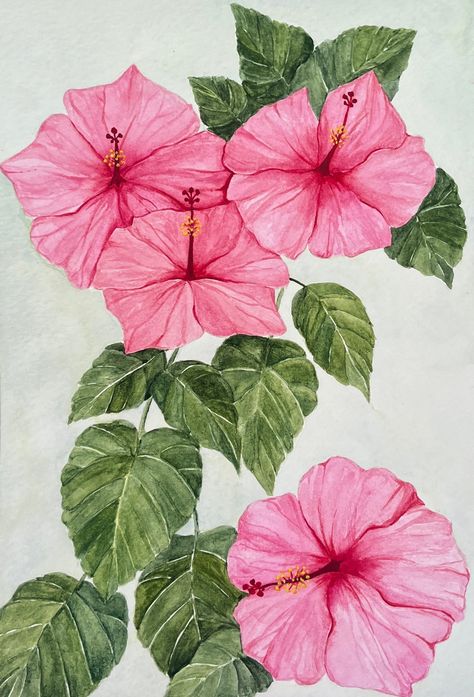 Beautiful and vibrant pink Hawaiian hibiscus painting! This 9in x 12in with 1 inch borders would look gorgeous in a costal themed home. Tropical Flower Painting Easy, Hibiscus Background, Organic Painting, Hibiscus Painting, Hibiscus Drawing, Hibiscus Watercolor, Hibiscus Flower Drawing, Hawaiian Hibiscus, Flower Art Drawing