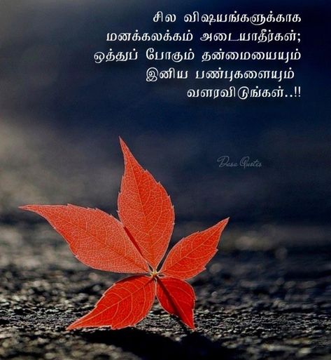 Tamil Wishes, Tamil Motivational Quotes, Good Morning Friends Quotes, Tamil Quotes, Photo Album Quote, Good Morning Friends, Motivational Quotes For Life, Friends Quotes, Best Quotes