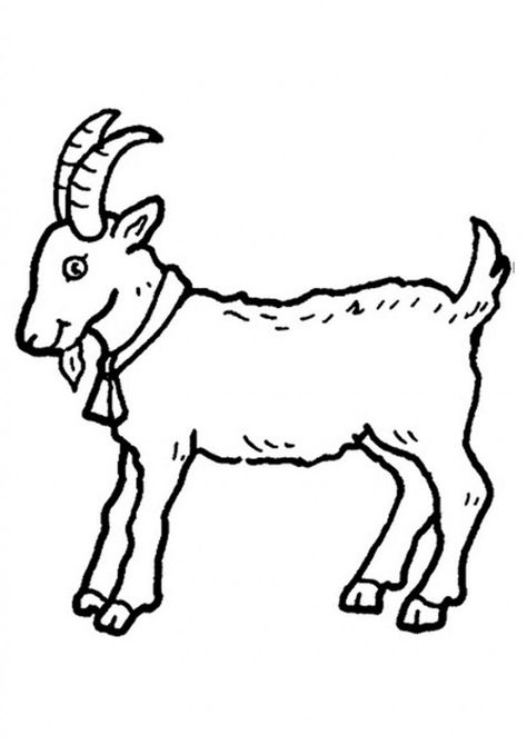 Goat Coloring Pages Pictures Goat Pictures, Farm Animals Pictures, Goat Picture, Animal Outline, Animal Templates, Farm Animal Coloring Pages, Cute Goats, Printable Animals, A Goat