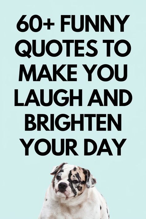 Funny quotes to make you laugh Daily Reminder Quotes Funny, How’s Your Day Going Quotes Funny, Dopamine Quotes Funny, Funny Quotes To Make You Laugh, Happy Thoughts Quotes Funny, Funny Art Sayings, Funny White Board Quotes, Funny Short Phrases, Funny Positive Quotes Hilarious