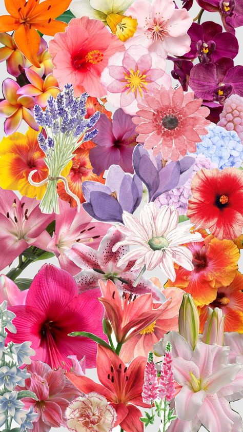 flower collage :)   #flowers #flower #hawaii #lifestyle #poland #love #collage #hobby #summer #wallpaper #background Flowers Collage Aesthetic, Flower Collage Wallpaper, Flowers Collage, Collage Flowers, Hawaii Flowers, Flower Collage, Hawaiian Flowers, Gcse Art, Book Inspiration