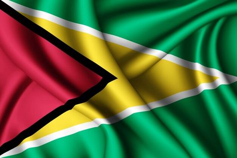 Guyanese Flag, Guyana Flag, Countries And Flags, Flag Painting, Graffiti Wallpaper, Landscape Background, Flag Background, Forest Landscape, National Flag