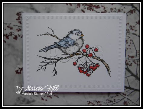 Marcia's Stampin' Pad: CAS Christmas Oct. 2020 - CHRISTMAS BIRDS Christmas Bird Cards Handmade, Christmas Bird, Hello Friend, Bird Cards, Wonderful Words, Simple Cards, My Images, Color Me, Card Stock