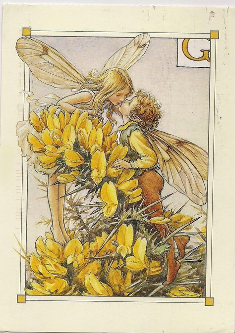 Gorse Fairy Cicely - Google Search Fairy Paintings, Fairy Drawings, Bel Art, Fairy Illustration, Cicely Mary Barker, Fairy Artwork, Vintage Fairies, Fairy Book, Flower Fairies