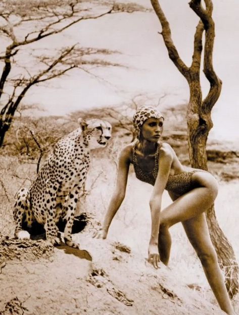 Peter Beard, Olivia De Havilland, Photographie Portrait Inspiration, Wild Woman, Beautiful Black Women, Beauty And The Beast, Beauty Skin, Feline, Fashion Photography