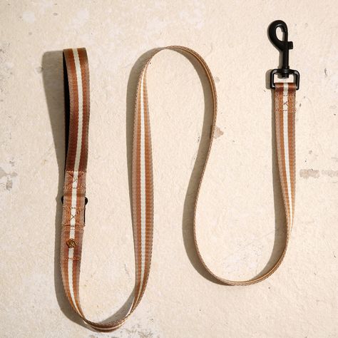 COLLECTION Dog Leash Holder, Dog Walks, Triangle Ring, Pet Leashes, Leather Label, Bag Holder, Dexter, Dog Harness, Dog Leash