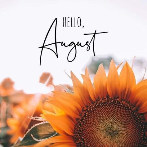 Hallo August, Hello August Images, New Month Greetings, New Month Wishes, August Images, Neuer Monat, August Quotes, August Wallpaper, Seasons Months