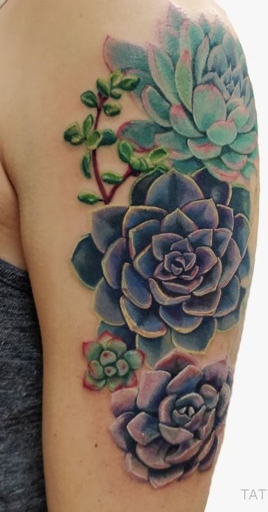 Watercolor Succulent Tattoo, Succulent Hand Tattoo, Succulent Tattoos For Women, Suculentas Tattoo, Succulents Tattoo, Arm Tattoo Designs For Women, Succulent Tattoos, Tattoo For Women Arm, Arm Tattoo Designs