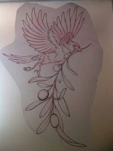 My next Tat.  Cardinal holding an olive branch.  By @tattosbythu @electrichandtattoo Bird With Branch Tattoo, Dove Holding Olive Branch, Dove Holding Olive Branch Tattoo, Cardinal Tattoo For Men, Dove Olive Branch Tattoo, Dove And Olive Branch Tattoo, Dove With Olive Branch Tattoo, Cardinal Tattoo Design, Graphite Realism