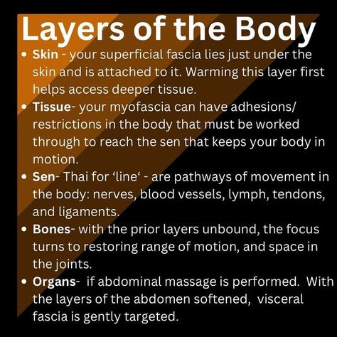 Unbound Massage and Movement LLC on Instagram: "Deep tissue isn’t really about intense pressure, it’s about accessing deeper layers of the body. Thai massage is the ultimate deep tissue massage, methodically working through the layers of the body. #thaimassage #thaimassagepdx #massagepdx #traditionalthaimedicine #deeptissue #deeptissuemassage" Therapy Techniques, Massage Therapy Techniques, Health Hacks, Body Tissues, Thai Massage, Deep Tissue Massage, Deep Tissue, Blood Vessels, Massage Therapy